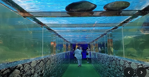 hotel_thumbnai_1