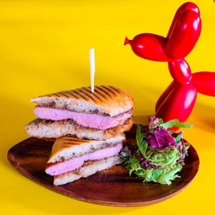 프리미어 스카이